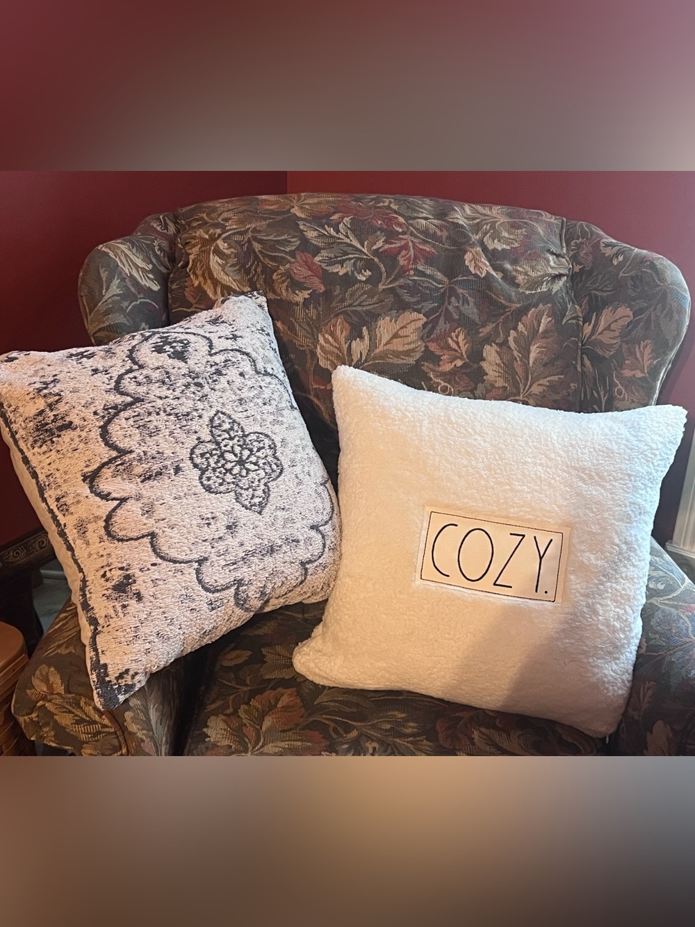 Rae Dunn COZY + Bonus Boho Design Pillows Set (2) 🪿